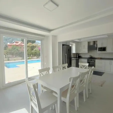 Deniz Yildizi * Ortaca (Mugla)